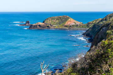 A breathtaking coastal landscape featuring a rocky peninsula covered in green shrubbery, dramatic ocean cliffs, and deep blue waves crashing on a sunny day.