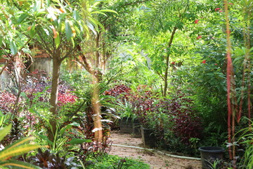 Naklejka premium siem reap, cambodia, downtown, street, daytime, clean, beautiful, asia