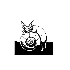 Cute Cat Resting on Shell