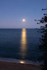 moonlight on the ocean