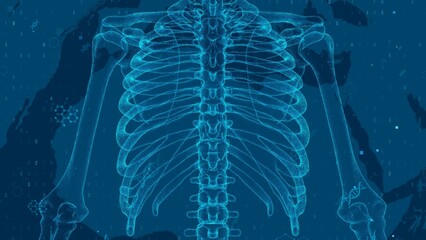 Detailed Digital Blueprint of Human Rib Cage Anatomy with Blue Tones