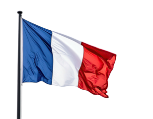 A close-up view of a waving rectangular flag, featuring vertical stripes of blue, white, and red