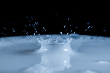 Water droplets of milk on a dark background