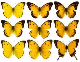 Collection set of gold hearts isolated on transparent background