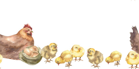 Farm birds family seamless border with brown hen, yellow chicks and nest with eggs watercolor illustration. Hand drawn rustic animals banner,farmyard clipart for wallpaper, packing design © Evgeniya