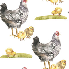 Farmyard birds watercolor seamless pattern with black hen and yellow chicks on green grass lawn illustration. Rustic life,farm animals background for fabric,textile, organic product packing design
