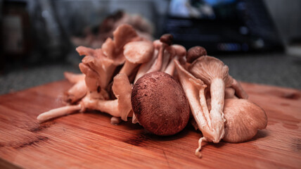 A close-up photograph of fresh mushrooms prepared in a kitchen setting, showcasing detailed textures, natural colours, and organic surfaces. Suitable for themes related to cooking.