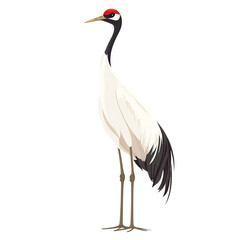 Naklejka premium Elegant red crowned crane standing tall with graceful posture isolated on transparent background