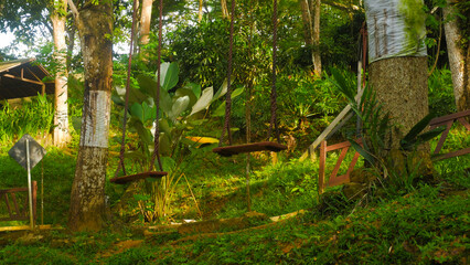 Trees Wrapped with Protective Fabric in a Green Forest Park