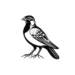 Fototapeta premium A detailed illustration of a black raven perched on its feet isolated on transparent background