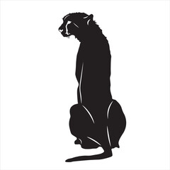 The cheetah is sitting