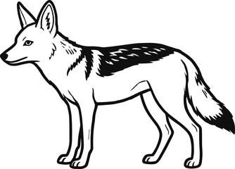 Jackal Illustration – Isolated on Transparent Background Black and White Wild Animal Vector Drawing