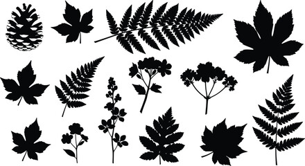 Technical Drawing of a Women's Cropped Hoodie Sweatshirt Vector Illustration, Front and Back Flat Sketch with Dropped Puff Sleeves for Fashion Apparel Design and Production,