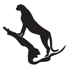 cheetah is a smart animal