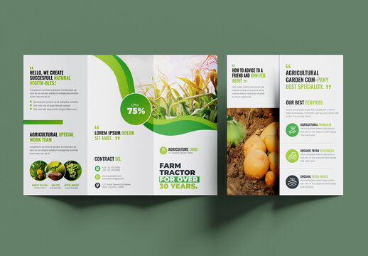 Tri-Fold Brochure