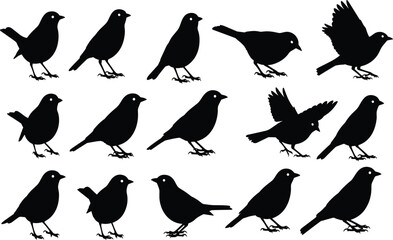 Collection of black bird silhouettes in various poses on white background vector 2