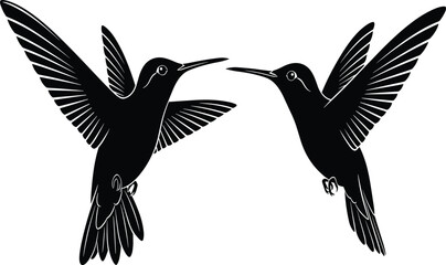 Two black hummingbirds in flight facing each other with wings spread flying
