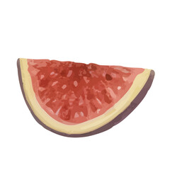 Fig illustration with a watercolor and colored pencil style／いちじく