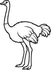 Ostrich Illustration – Isolated on Transparent Background Black and White Wild Bird Vector Drawing