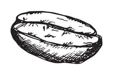 Hand drawn fresh roasted coffee bean Arabica robusta seed doodle Single element for print, web, design, decor