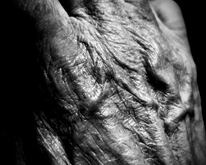 hands of old man