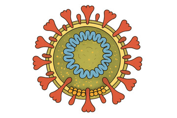 Coronavirus covid virus or germ with spike proteins and rna structure showing global pandemic and microbiology research