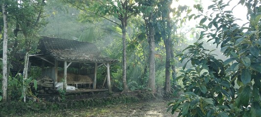 Simple Wooden Hut (Cakruk) Storing Hay/Fodder in a Foggy Javanese Village Morning View: Small...