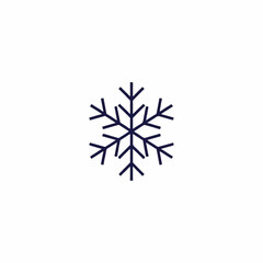 Winter Action Snowflake Illustration for Seasonal Design and Art Projects