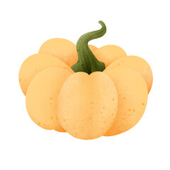 illustration of pumpkin