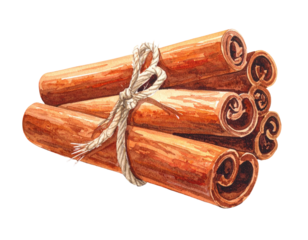 Watercolor depiction of six cinnamon sticks tied together with a natural string on a black backdrop