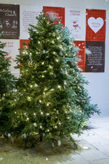 A festive Christmas tree display featuring sparkling ornaments, twinkling lights, and seasonal decorations. The tree is adorned with baubles, ribbons, garlands, and a bright star on top, creating a wa