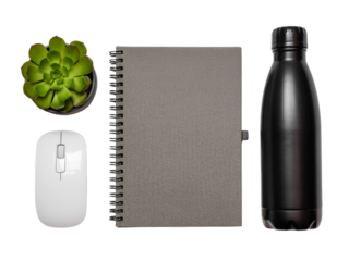 Modern desk setup featuring a succulent notebook mouse and water bottle