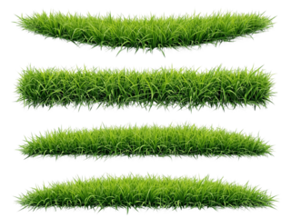 Four distinct strips of lush green grass presented on a transparent background
