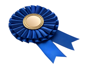 Blue Rosette Prize Ribbon with Golden Medallion