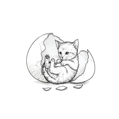 Cute Kitten Hatching from Eggshell.