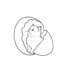 Kitten emerging from a cracked eggshell drawing.