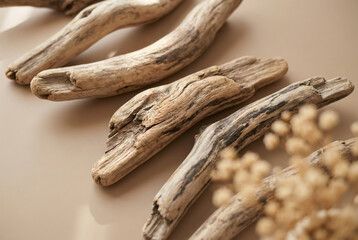 Natural driftwood sticks arranged on a neutral beige surface, showcasing organic textures, earthy tones, and a minimal aesthetic