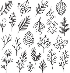 Botanical Christmas Nature Icons Featuring Winter Plants in Minimal Outline
