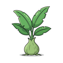 Cartoon Illustration of a Banana Plant with Bulbous Base and Green Leaves.
