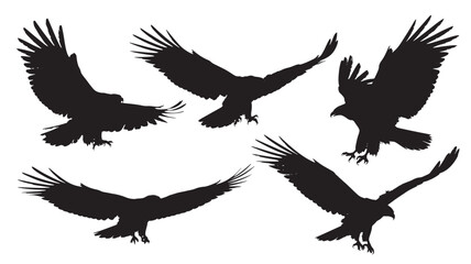 Eagle silhouettes in various flying poses vector illustration of birds of prey isolated on white background