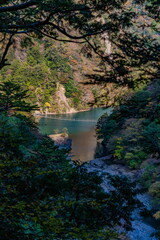 秋の寸又峡と夢の吊り橋