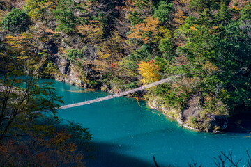 秋の寸又峡と夢の吊り橋