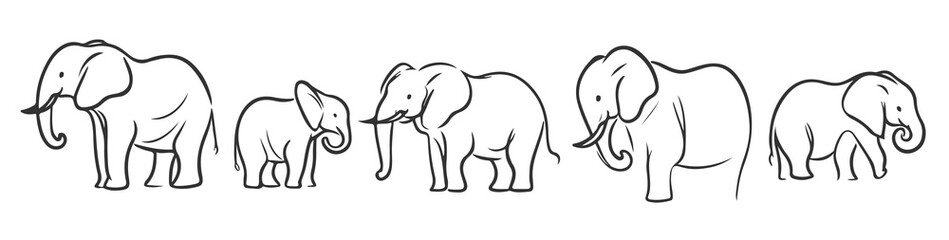 Fototapeta premium elegant elephant collection in minimal line art