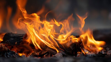 Dancing Flames: An intimate capture of a vibrant, warm fire, the tongues of fire dance and weave with an enticing fiery warmth.