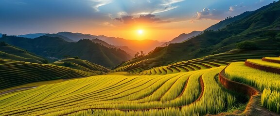Misty sunrise over terraced rice paddies, lush green mountains, serenity, asia