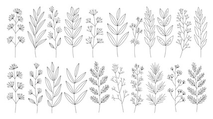 Fototapeta premium Set of botanical line art illustrations delicate floral elements for wedding invitations elegant vector design isolated on white background