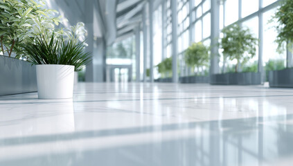 Fototapeta premium Modern interior: polished white marble floor reflecting light in a bright hallway with green plants and large windows