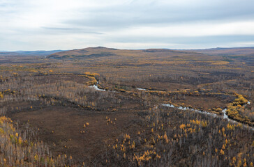 Aerial view of the autumn forest and river in the Shibawan scenic area of ​​Mohe, Greater Khingan Mountains.