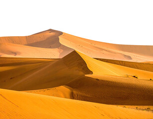 Rolling golden sand dunes undulate under a deep blue sky, forming a vast desert landscape