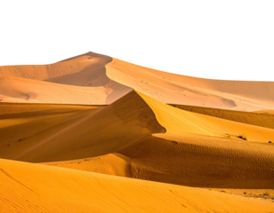 Rolling golden sand dunes undulate under a deep blue sky, forming a vast desert landscape